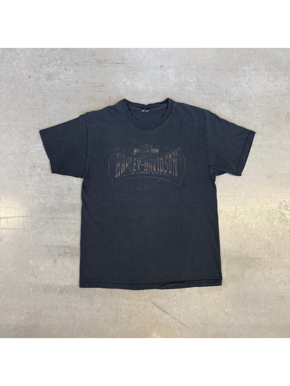 Vintage 2000s Harley Davidson Colorado Springs Mountain Faded T-Shirt Large